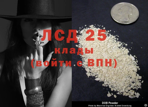 шишки Няндома