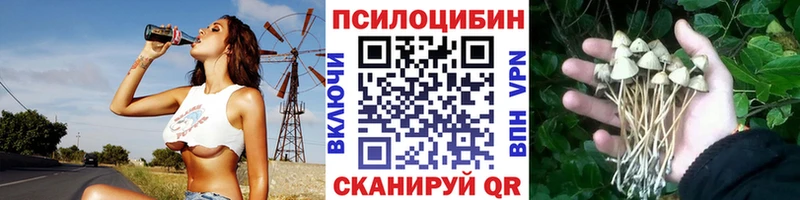 ОМГ ОМГ ССЫЛКА  Лянтор  Псилоцибиновые грибы мицелий 